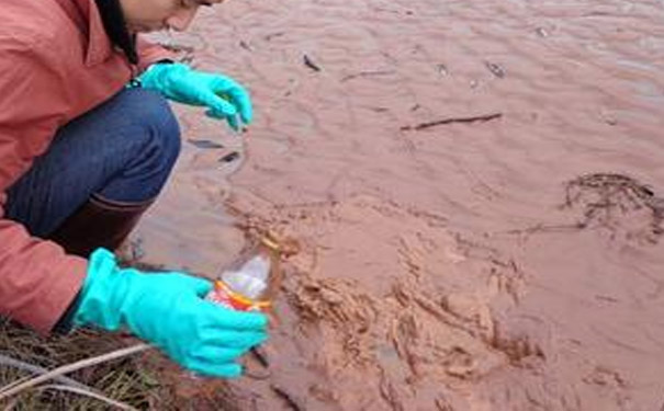 土壤微生物检测的种类有哪些必要的分析